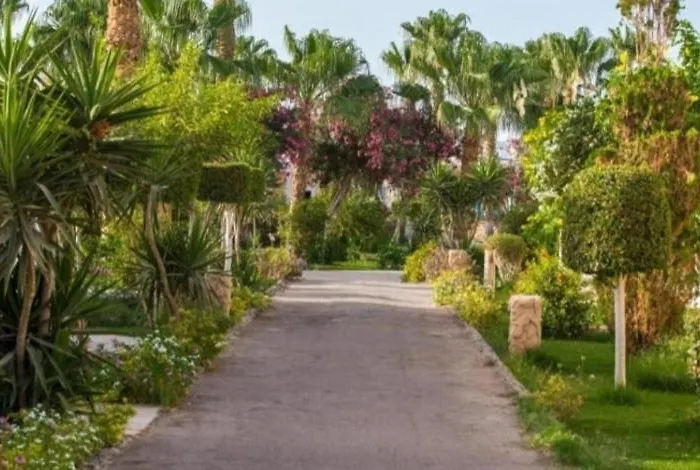 Apartment Lily Land Mirage Bay & Aqua Park